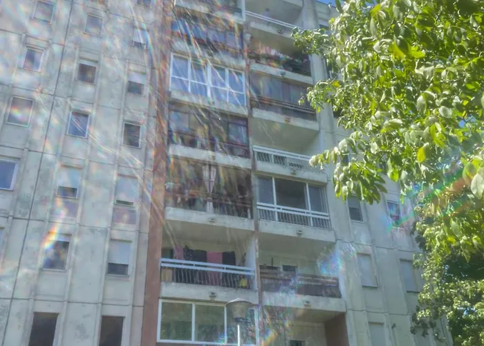 Novi Beograd Dr.Agostina Neta