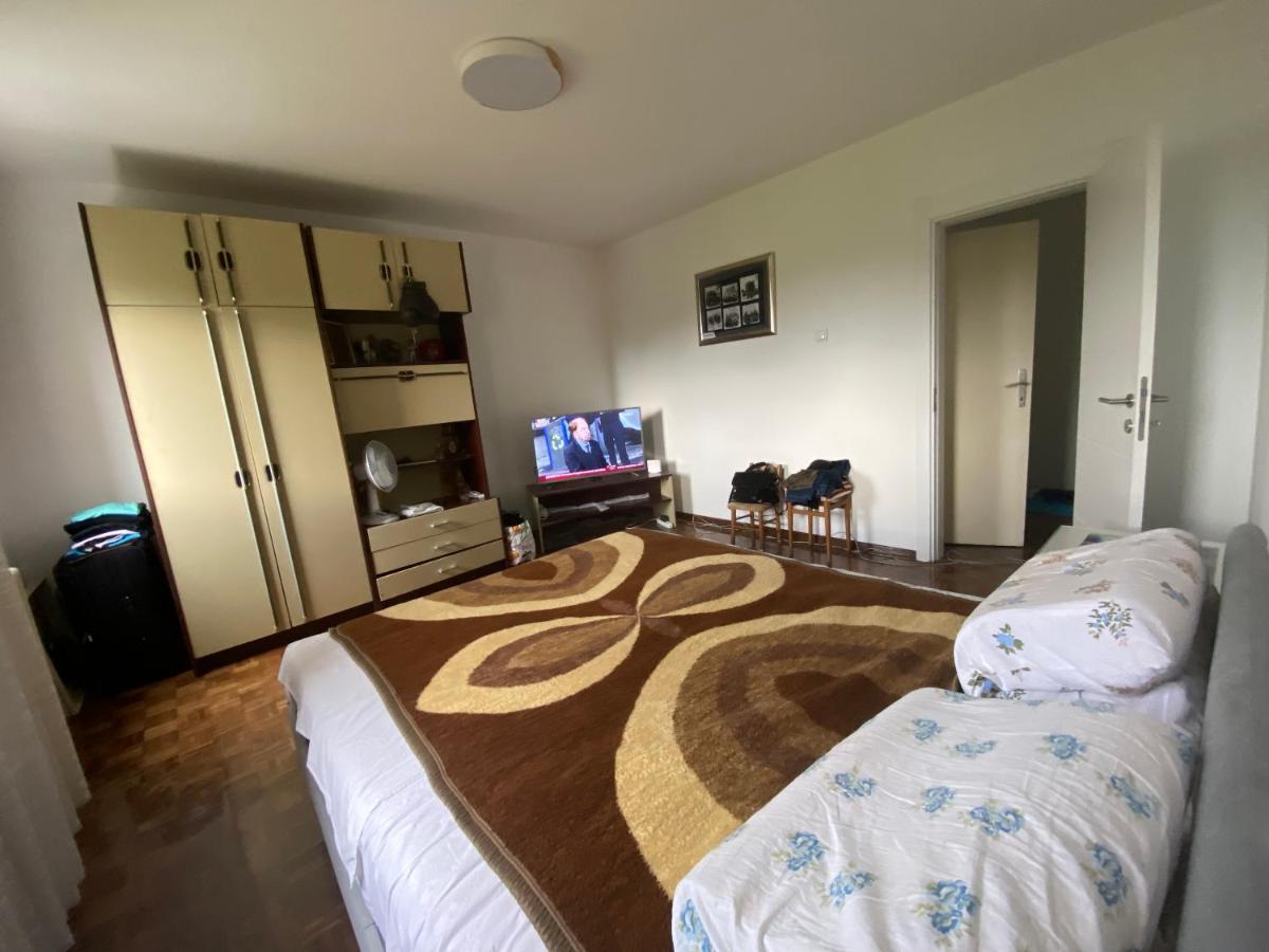 Novi Beograd Dr.agostina Neta * Belgrado