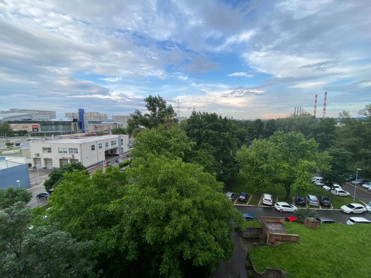 Novi Beograd Dr.agostina Neta * Belgrado