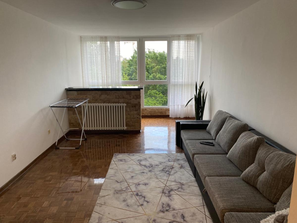 Novi Beograd Dr.agostina Neta Belgrado