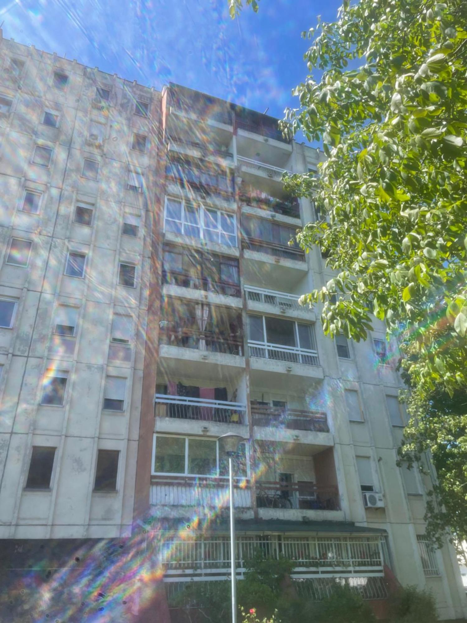 Novi Beograd Dr.agostina Neta